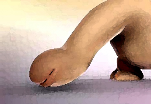 Penis In The Wild
